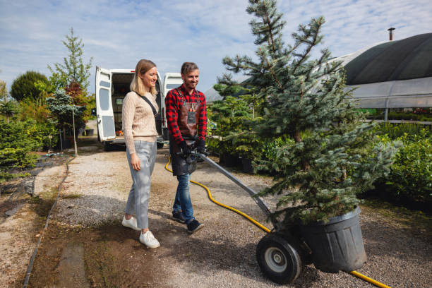 Best Sod Installation  in Berlin, WI